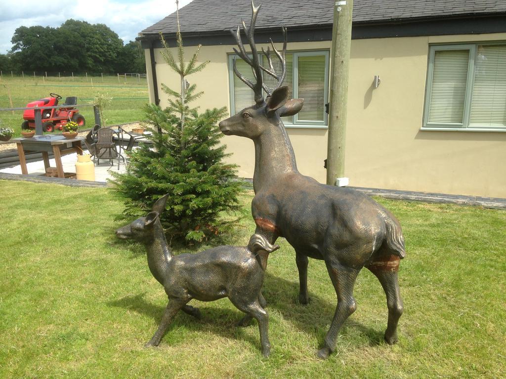 The Stables - Deer Park Farm Bed and Breakfast Solihull Exteriör bild